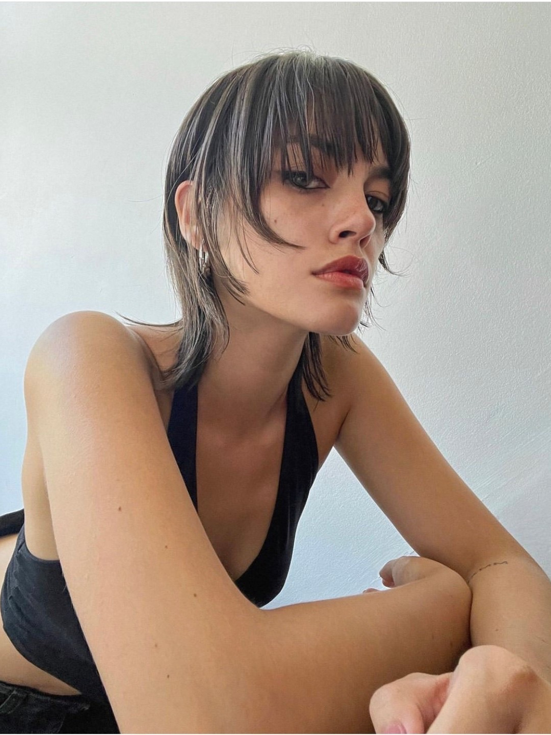 ネオウルフ　ソフトウルフ