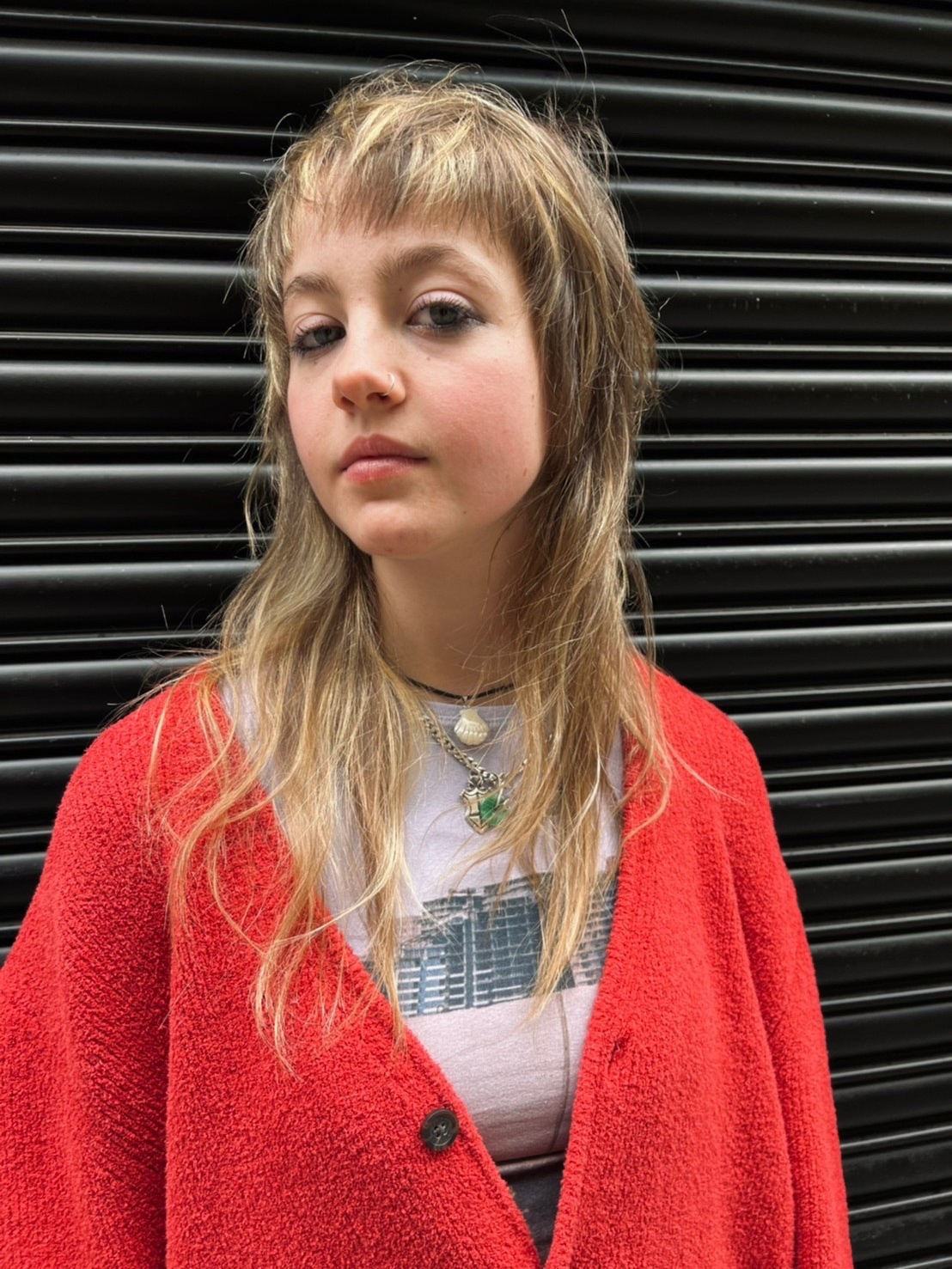 ネオウルフ　ソフトウルフ